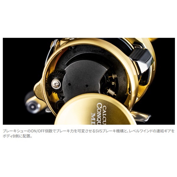 23カルカッタコンクエストMD